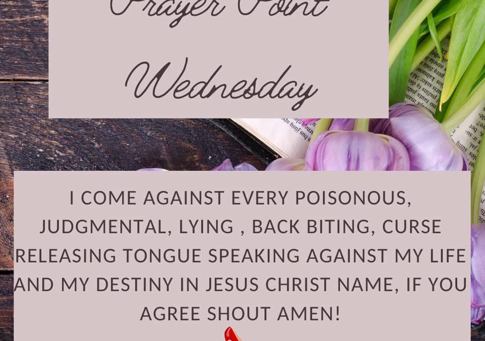 Prayer Point Wednesday