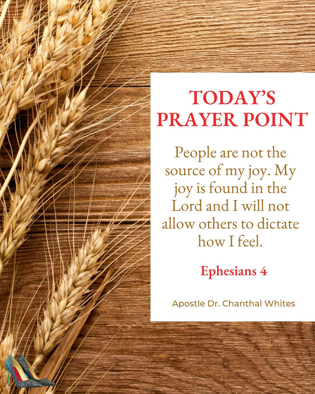 WhatsApp Image 2026-04-15 at 09.09.36